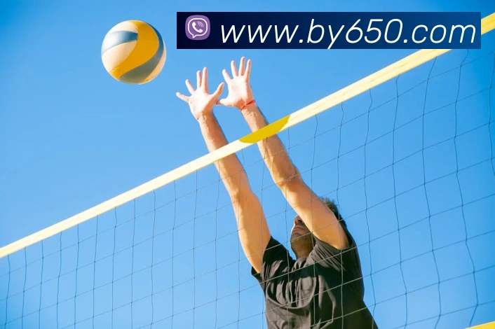 奖项证书
